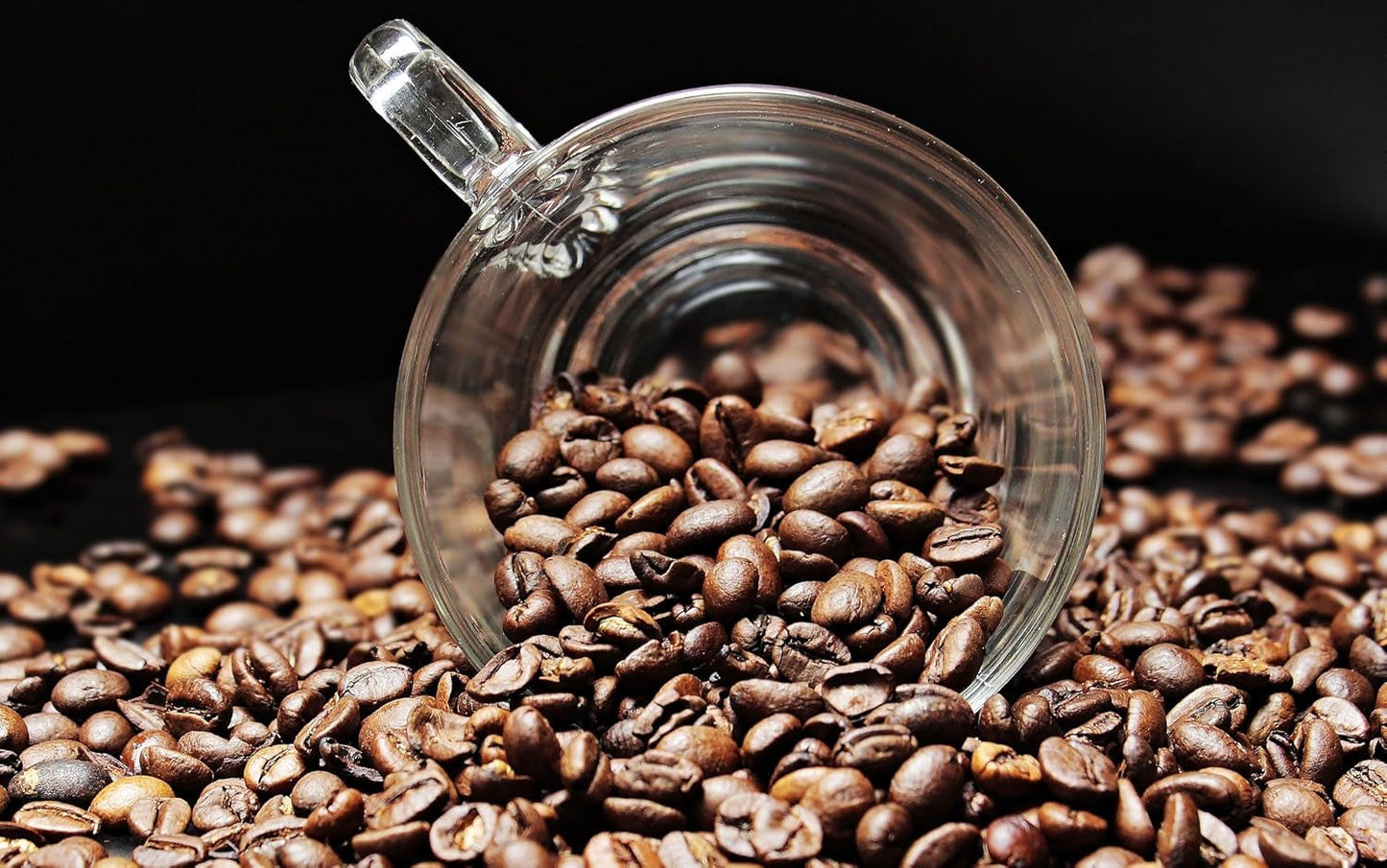 Café especial de Sudamérica - Galápagos, el ecosistema único de las islas (1000 gramos, granos enteros) - café de origen único - café premium - baja acidez - ligeramente tostado y fresco