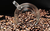 Café especial de Sudamérica - Galápagos, el ecosistema único de las islas (1000 gramos, granos enteros) - café de origen único - café premium - baja acidez - ligeramente tostado y fresco