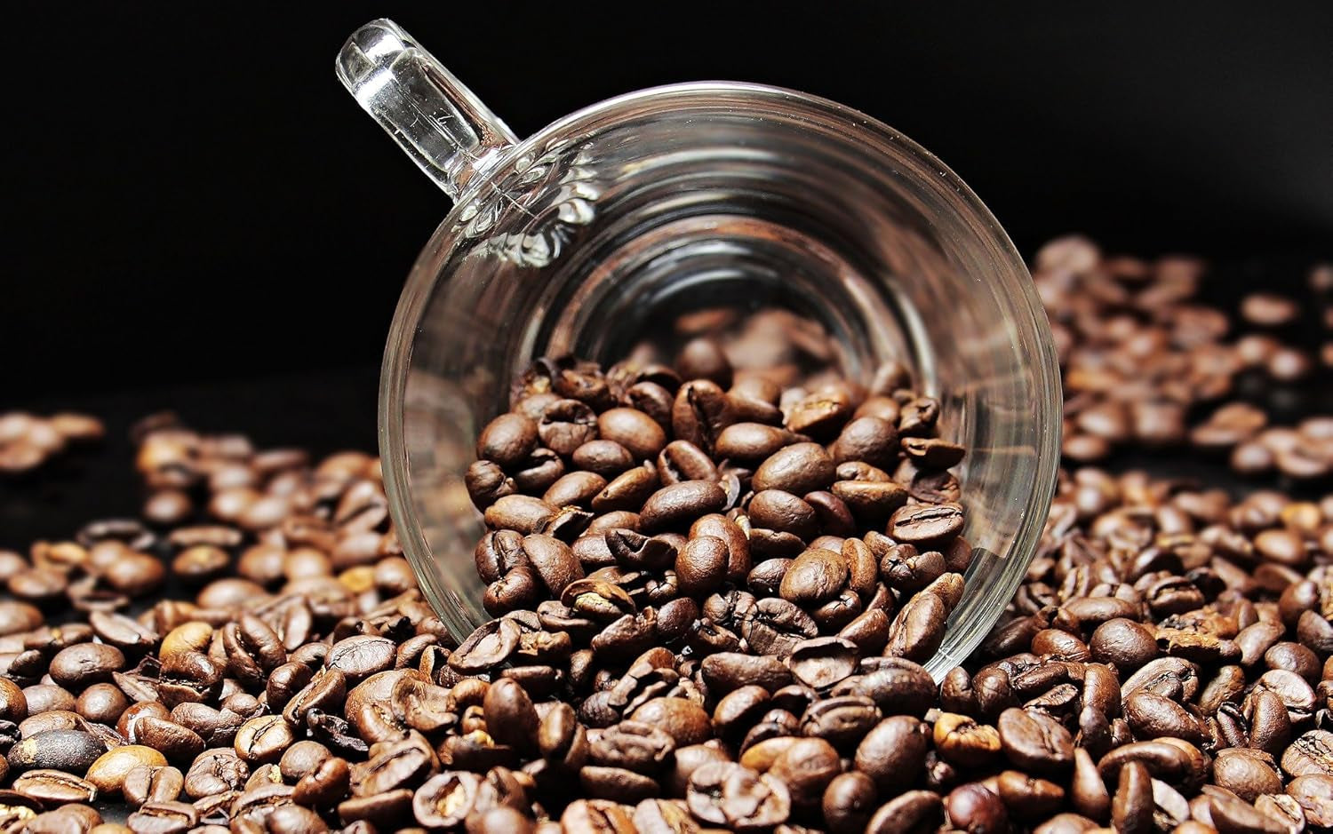 Café especial de Sudamérica - Galápagos, el ecosistema único de las islas (1000 gramos, granos enteros) - café de origen único - café premium - baja acidez - ligeramente tostado y fresco