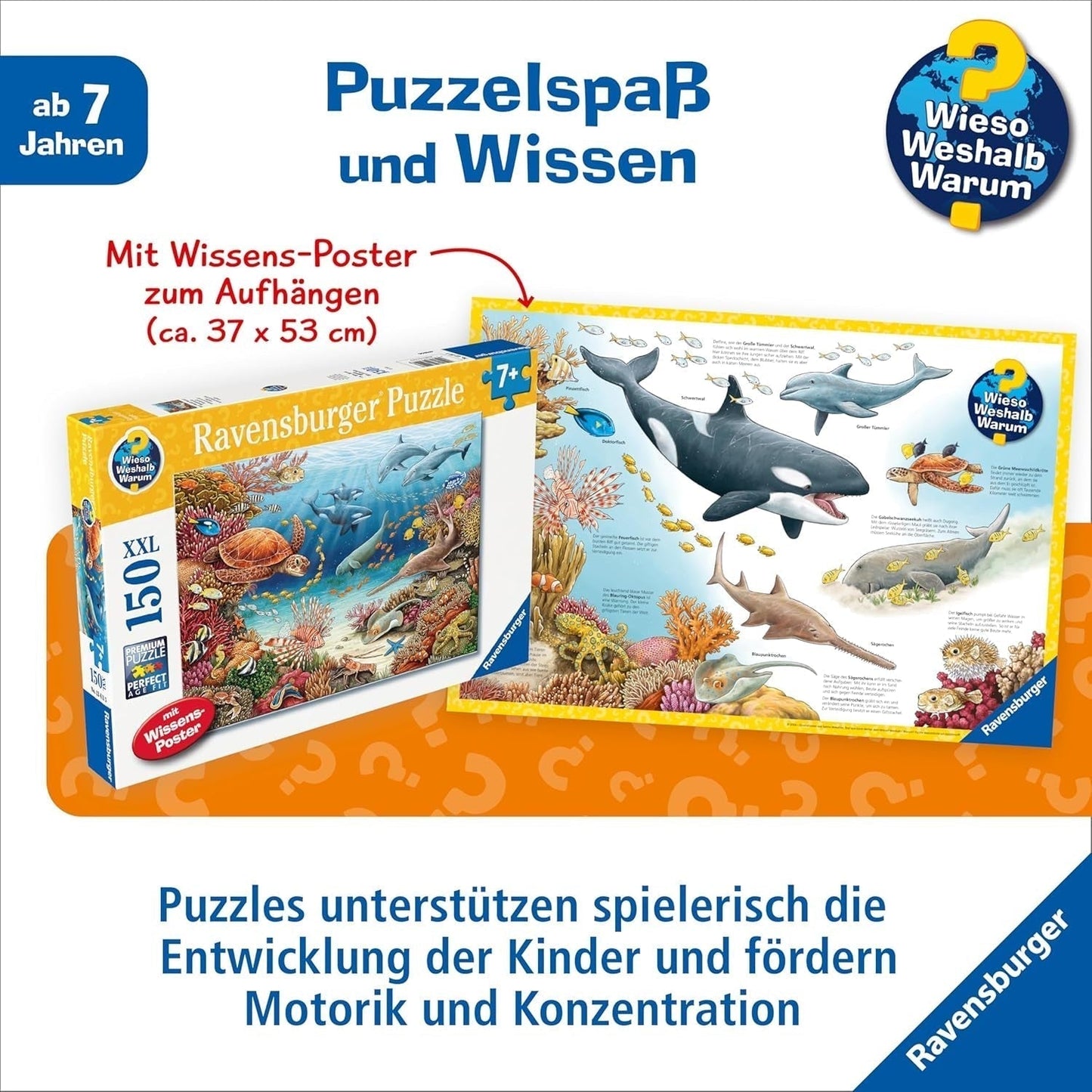 Puzzle infantil Ravensburger 13411 - Criaturas marinas en el arrecife de coral - ¿Por qué? ¿Por qué? ¿Por qué? Puzzle 150 piezas XXL + cartel de conocimientos, para niños a partir de 7 años Puzzle Naty Shop