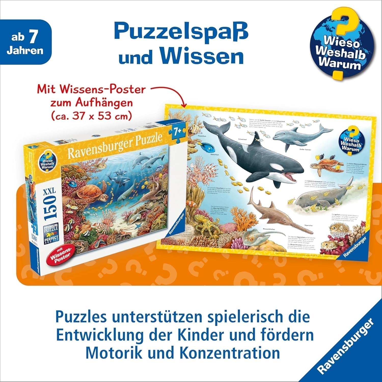Puzzle infantil Ravensburger 13411 - Criaturas marinas en el arrecife de coral - ¿Por qué? ¿Por qué? ¿Por qué? Puzzle 150 piezas XXL + cartel de conocimientos, para niños a partir de 7 años Puzzle Naty Shop