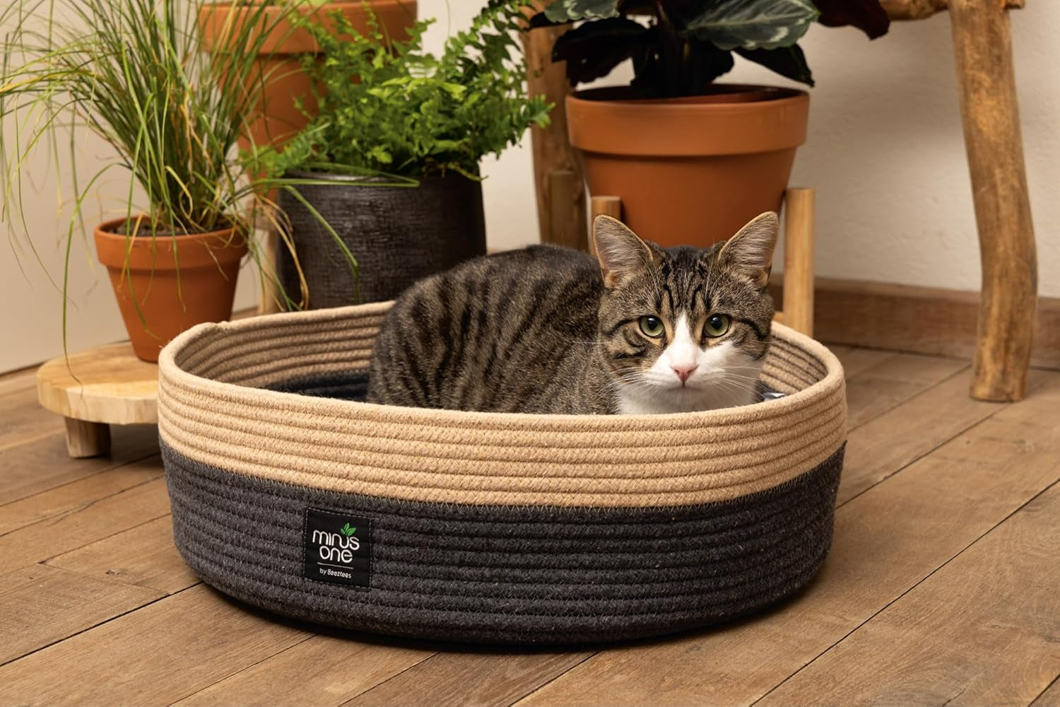 Camas, mantas y muebles, mascotas, gatos, camas para gatos, Gatos - camas, colchones