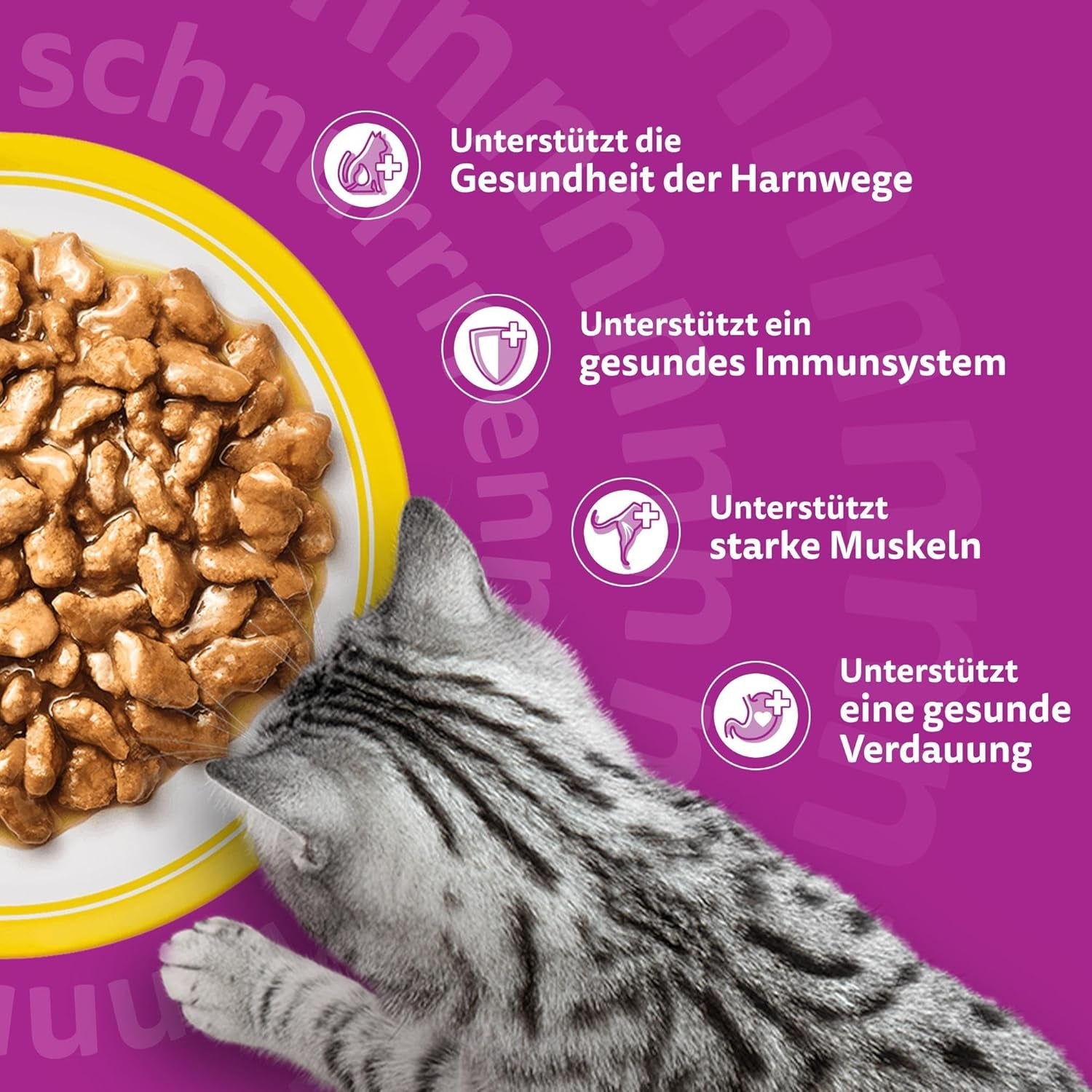 Whiskas 7+ Comida Húmeda para Gatos Selección de Aves en Salsa 24 x 85 g (2 Packs) - Comida húmeda de alta calidad a partir de 7 años en 48 bolsitas para servir