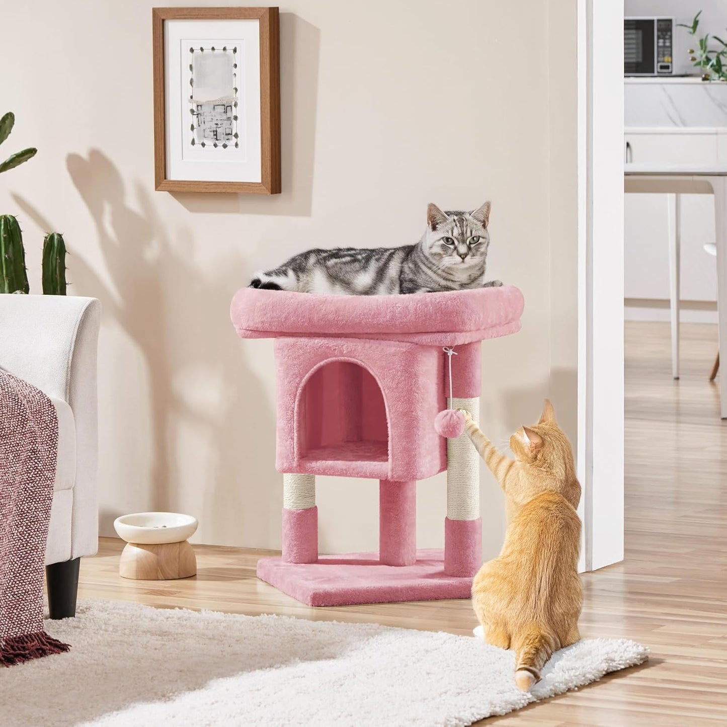 Mantas y Muebles, Mascotas, Gatos, Camas para gatos, Rascador, Gatos - Camas, Colchones