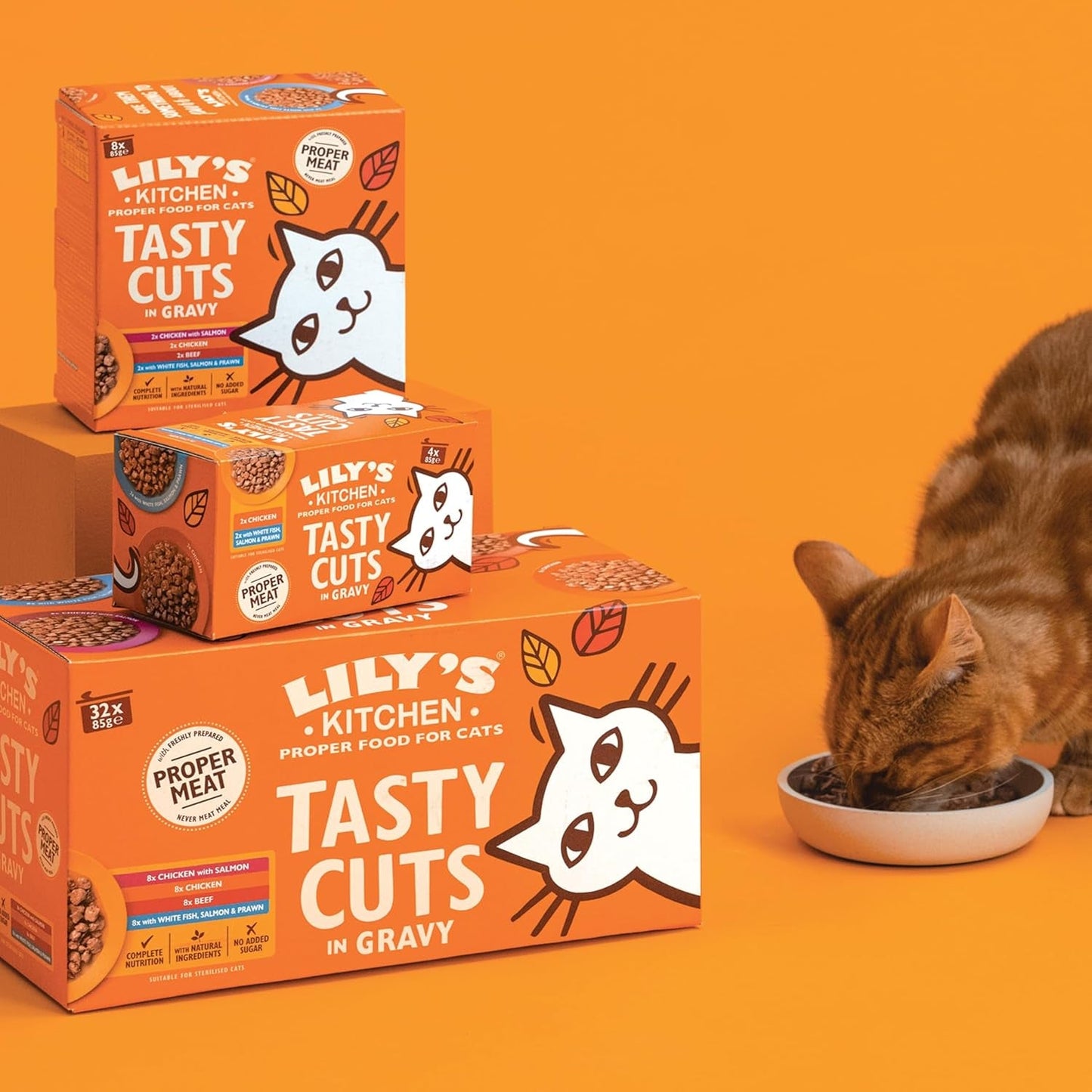 Lily's Kitchen, Elaborada con Ingredientes Naturales, Deliciosos Bocados en Salsa de Pollo, Comida Húmeda para Gatos Adultos, Lata 70g