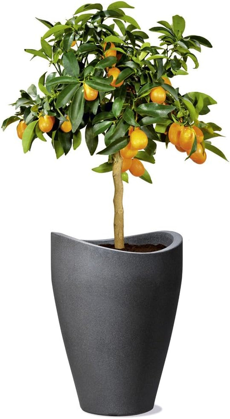 Scheurich Wave Globe High, recipiente alto de plástico, granito negro, diámetro 29,8 cm, altura 40 cm, volumen 6 l.