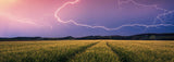 Ravensburger Nature Edition 17491 Tormenta de Verano - Puzzle de 500 piezas para adultos y niños a partir de 12 años Puzzle Naty Shop Collage