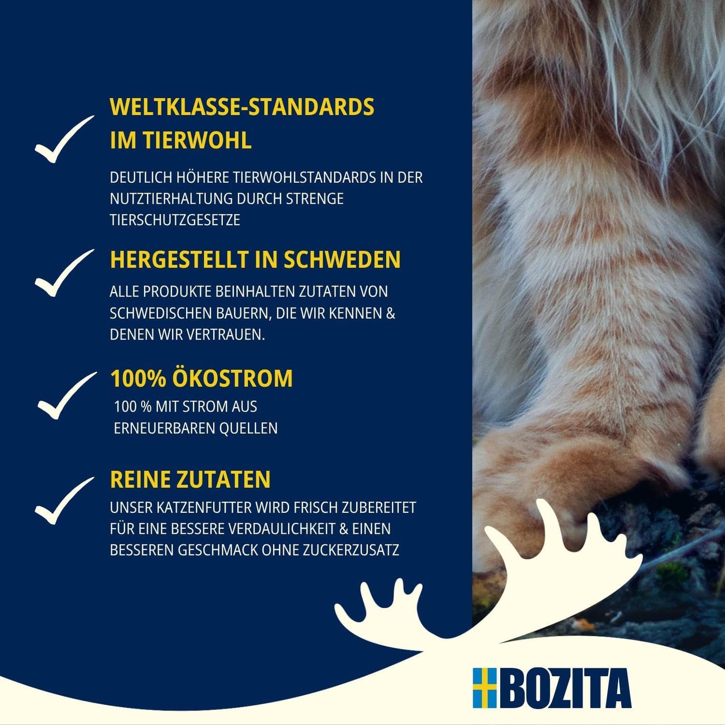 Bozita Mousse Chicken - 12 x 85 g comida húmeda para gatos con una fina textura de mousse y pollo - receta sin cereales, sin azúcares añadidos - con postbióticos para favorecer una flora intestinal saludable