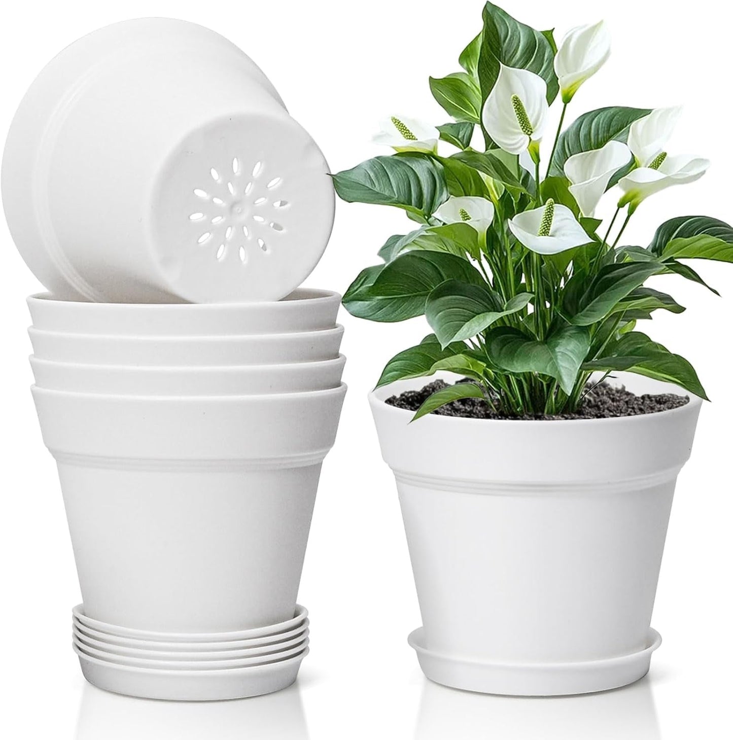 T4U Maceta de Plástico con Platillo de 16 cm, Juego de 6 Macetas de Plástico para Hierbas con Múltiples Orificios de Drenaje, Maceta Redonda para Plantas Suculentas de Interior y Balcón, Cactus, Blanco