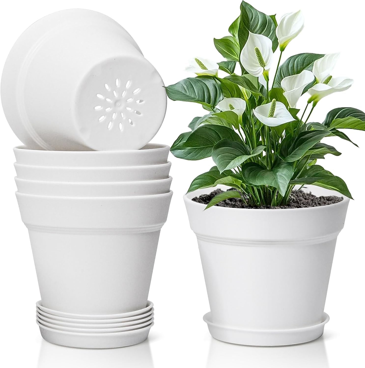 T4U Maceta de Plástico con Platillo de 16 cm, Juego de 6 Macetas de Plástico para Hierbas con Múltiples Orificios de Drenaje, Maceta Redonda para Plantas Suculentas de Interior y Balcón, Cactus, Blanco