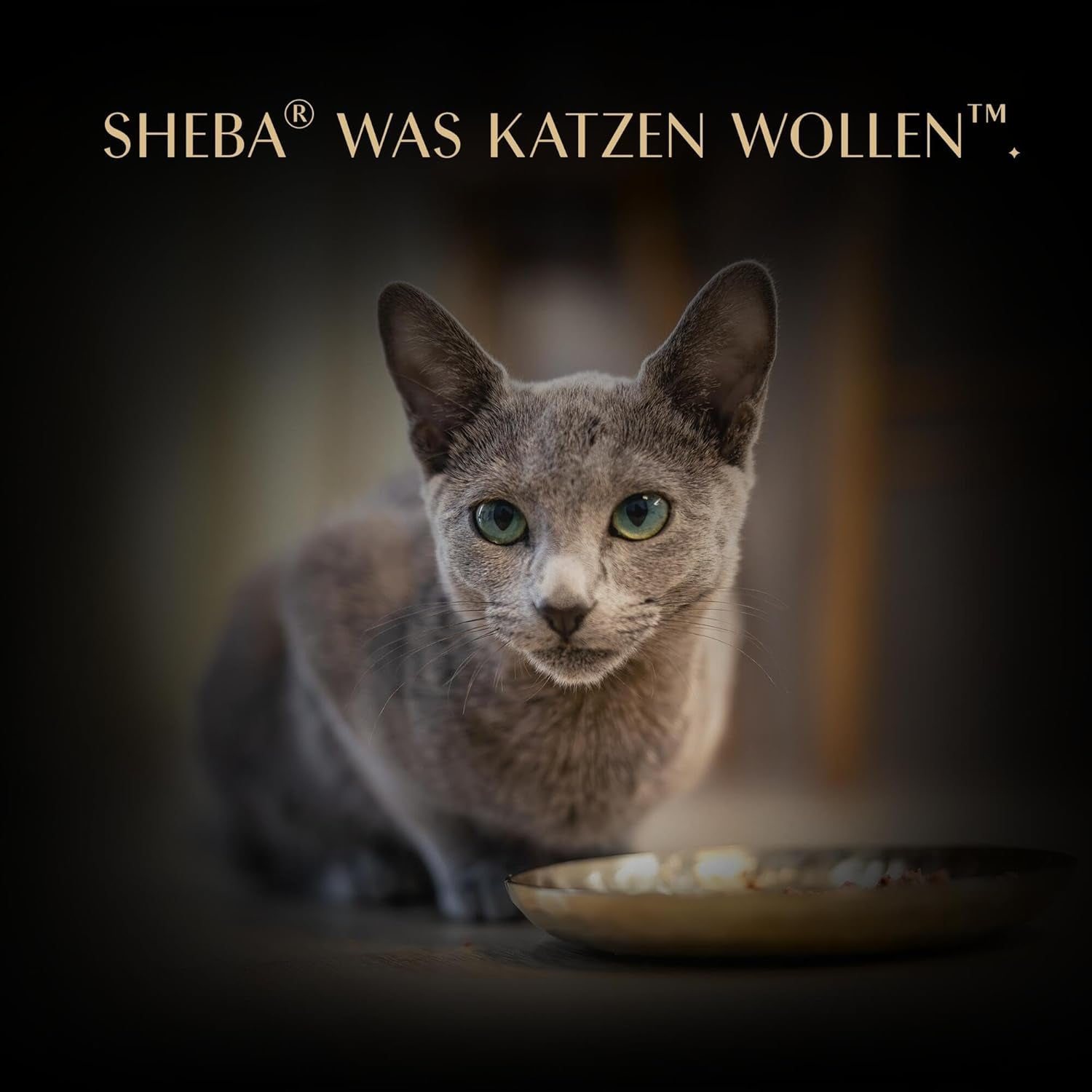 SHEBA Filetes Adultos Katzenfutter en Salsa con Pollo, Hochseefisch und Garnelen 16 x 60g Concha