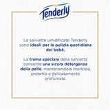 Toallitas para bebé Disney, toallitas suaves, ideales para la limpieza diaria del bebé, personajes de Disney, paquete de 12, fabricadas en Italia, testadas dermatológicamente