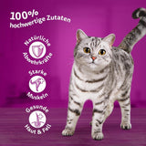 Whiskas 1+ comida húmeda para gatos con pollo en gelatina, 28x85g (1 paquete) - Comida húmeda de alta calidad para gatos adultos en sobres de 28 porciones