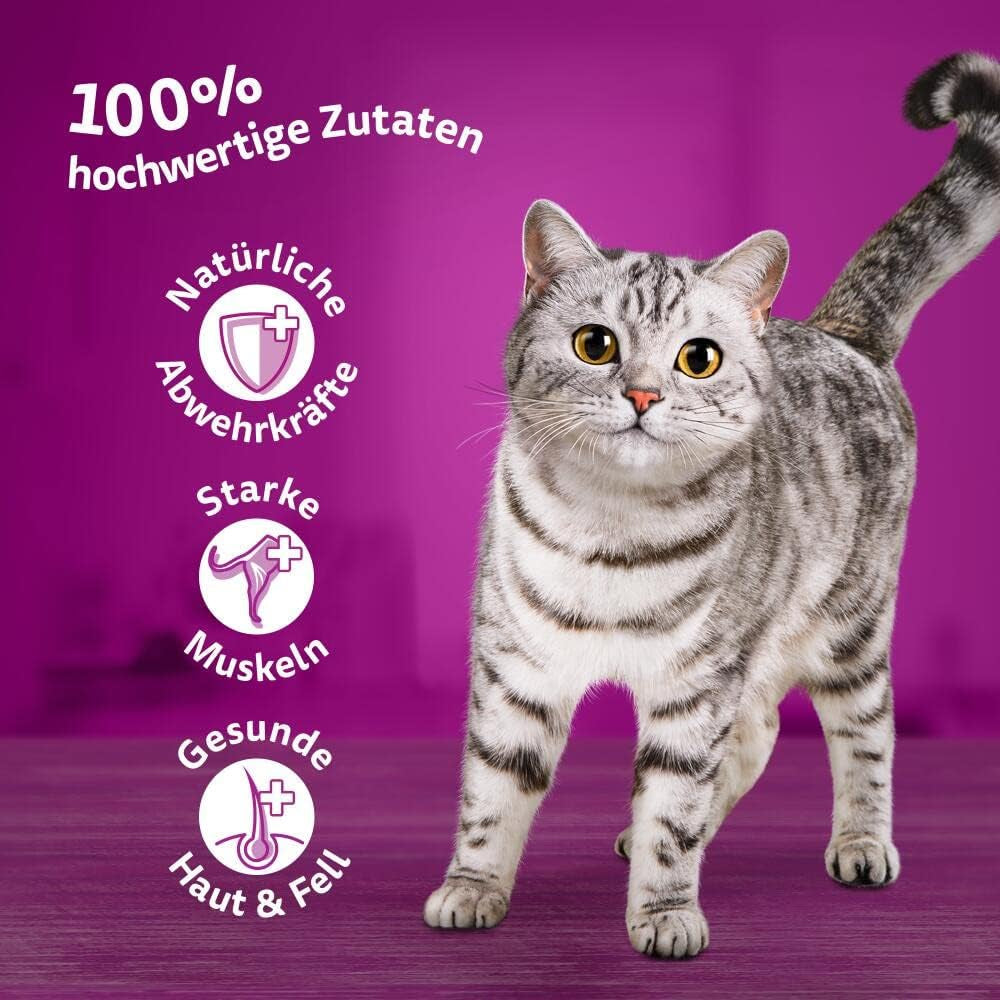 Whiskas 1+ comida húmeda para gatos con pollo en gelatina, 28x85g (1 paquete) - Comida húmeda de alta calidad para gatos adultos en sobres de 28 porciones