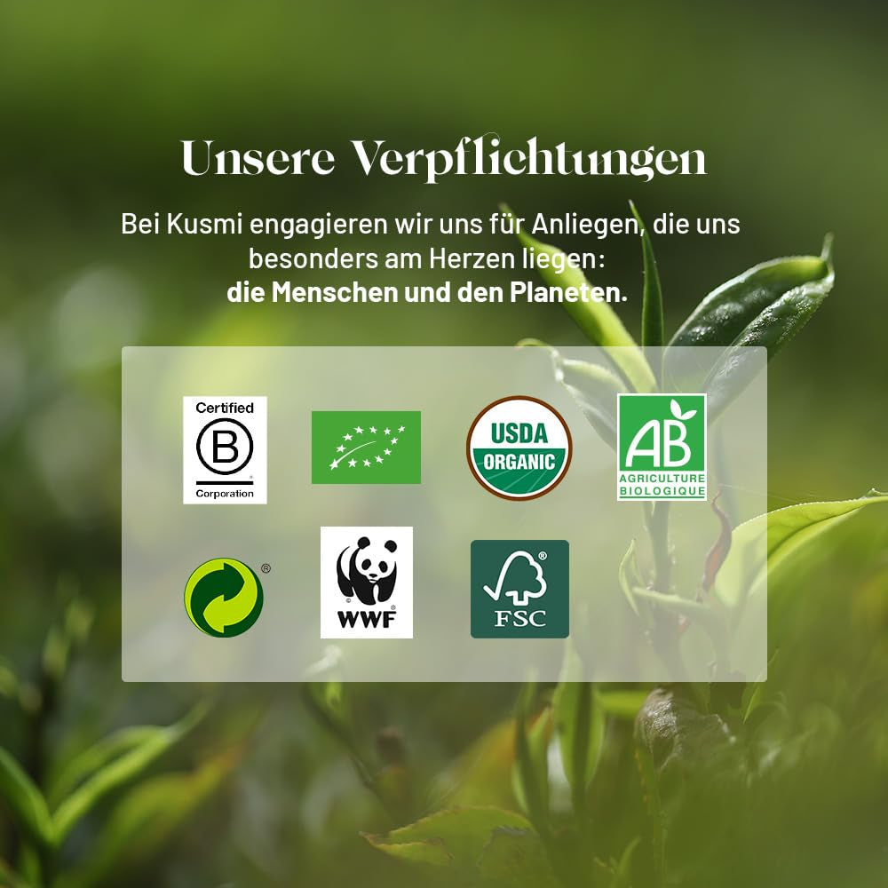 Té Kusmi - Paquete de 2 - Té verde jazmín - Mezcla de té verde jazmín orgánico - Té verde 100% orgánico - Se puede consumir frío o caliente - 2X20 bolsitas de té
