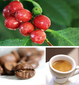 Gimoka - Compatible con Nescafè - Dolce Gusto - 64 cápsulas - Sabor cremoso - Intensidad 10 - Hecho en Italia - 4 paquetes de 16 cápsulas