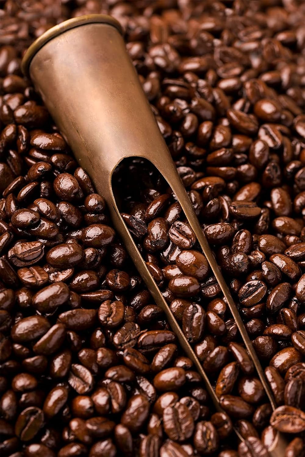 Caffè Barbera - Kit de café con 3 mezclas - 1870
