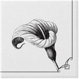 PAW - Servilletas Airlaid - Tipo Tela (40 X 40 Cm) I 50 Piezas I Para Servicio Funerario, Fiesta Funeraria, Funeral, Despedida I Servilletas De Tela Para Decoración De Mesa De Alta Calidad - Flor De La Memoria I Flor De La Memoria