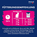 Vitakraft Poésie Délice, Junior, Comida húmeda para gatos, Comida húmeda en salsa, con pavo, Multipack, para gatos jóvenes, Sin azúcares ni cereales añadidos (23 x 85g)