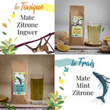 ORIGEENS SET REGALO TÉ BIO MATE X4 I Yerba Mate Bio 4X80G I Set té Yerba Mate, idea regalo