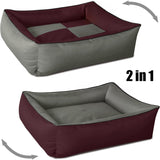 Camas, mascotas, perros, lugares para dormir y muebles.