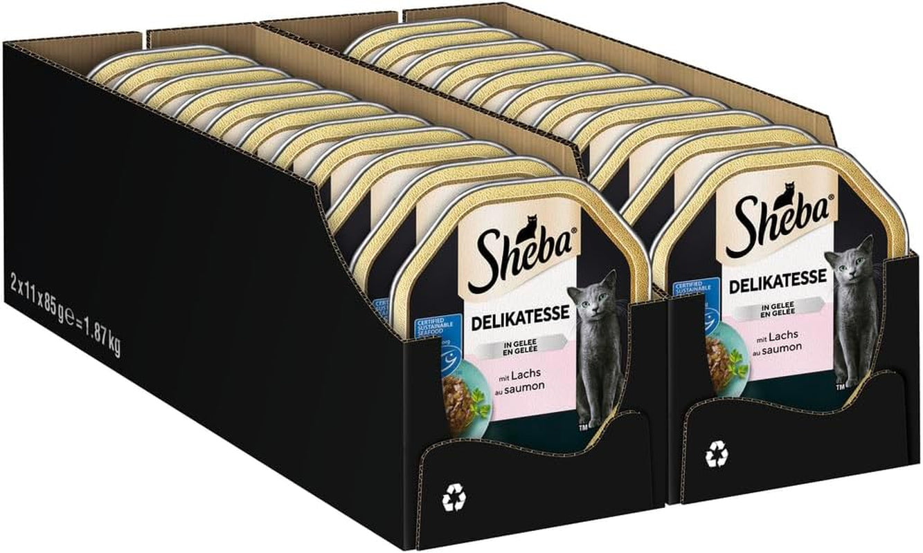 Sheba Comida húmeda para gatos, delicatessen en gelatina de salmón, 2 x 11 x 85 g
