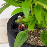 Jardinera LECHUZA Classico Color LS gris pizarra con sistema de riego |Ø 35 × 32 cm|14281