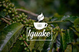 Café Iguaque 1000gr | Premium Kaffee ganze Bohnen 100% Arábica de Colombia | Familienbetrieb - Single Origin Kaffeebohnen - Nachhaltige eigene Plantage im Hochland - Kräftiges Aroma