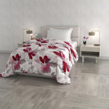Edredón De Invierno De Moda, Florencia, 260X260Cm Edredones y edredones Naty Shop Passion 220X260Cm