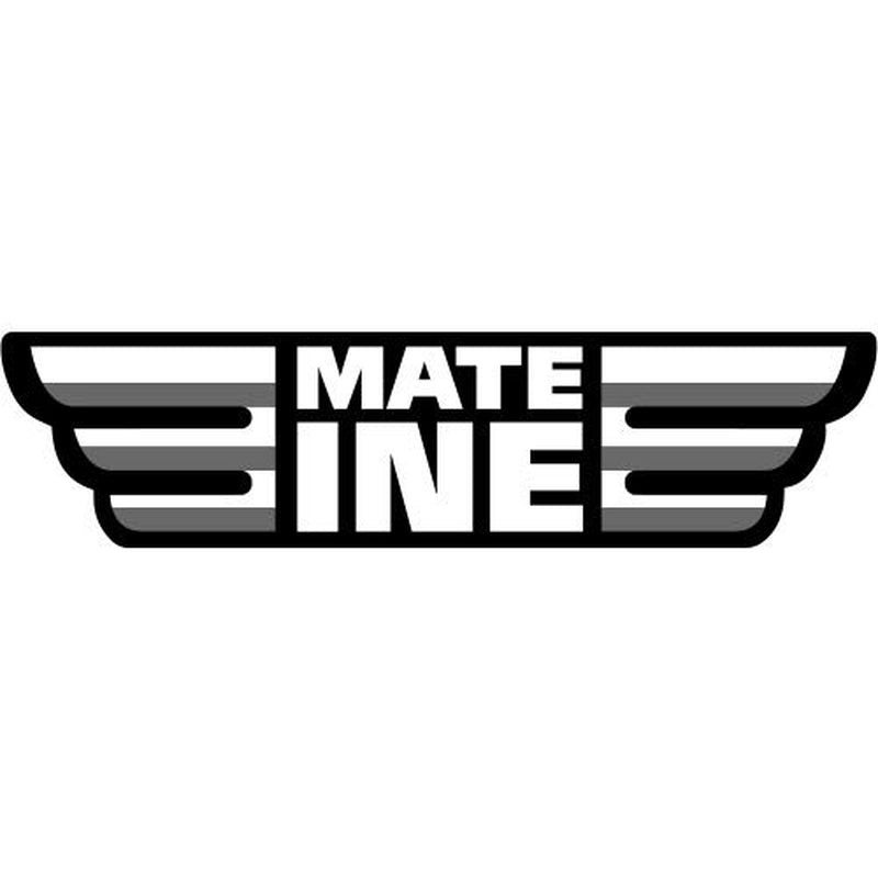Mate Tea Cafeína I Sin tostar, sin tallo y sin polvo Tradicional - Té Mate fuerte de Paraguay I Contenido de cafeína | Bebida energizante y desintoxicante 500 G I 0,5 Kg