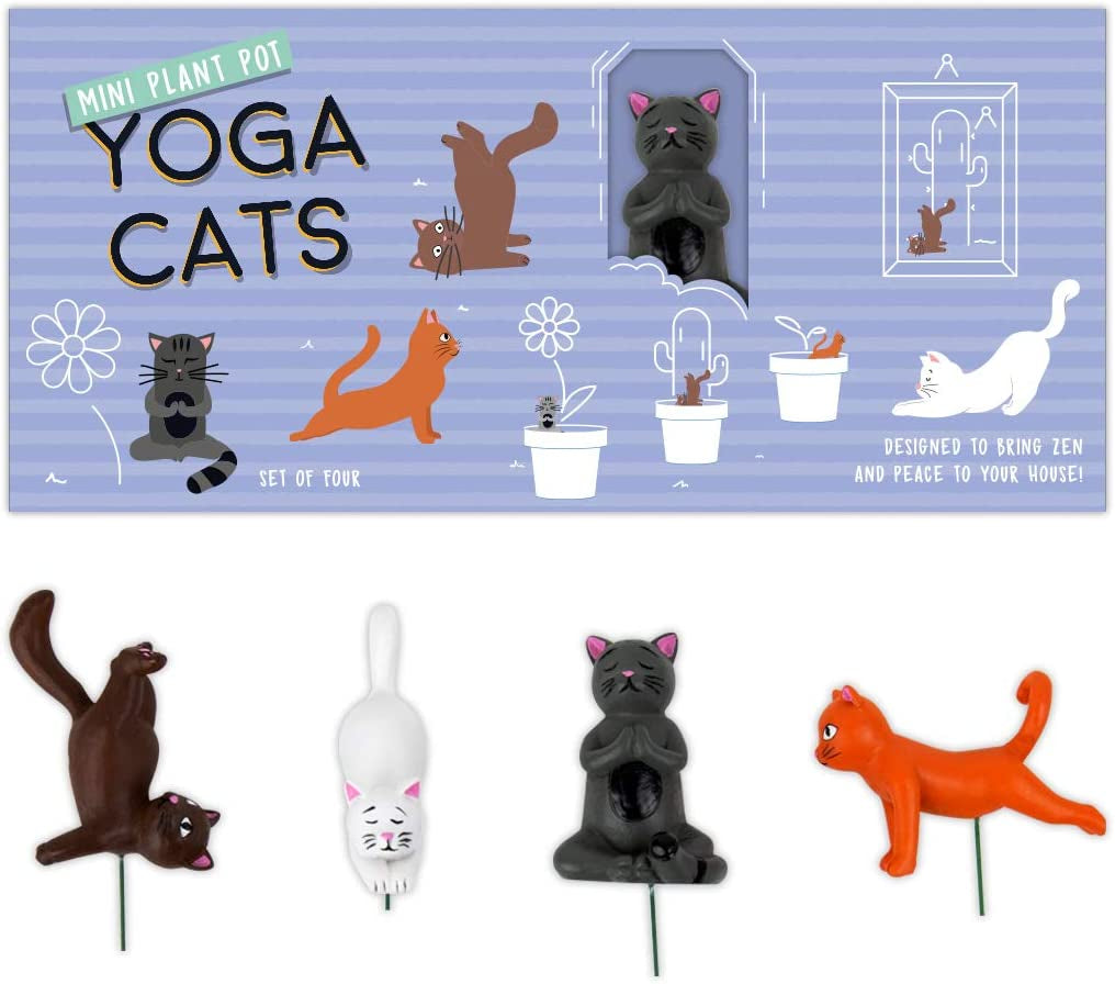 Gift Republic Mini Maceta Yoga Gatos, Multicolor, 1