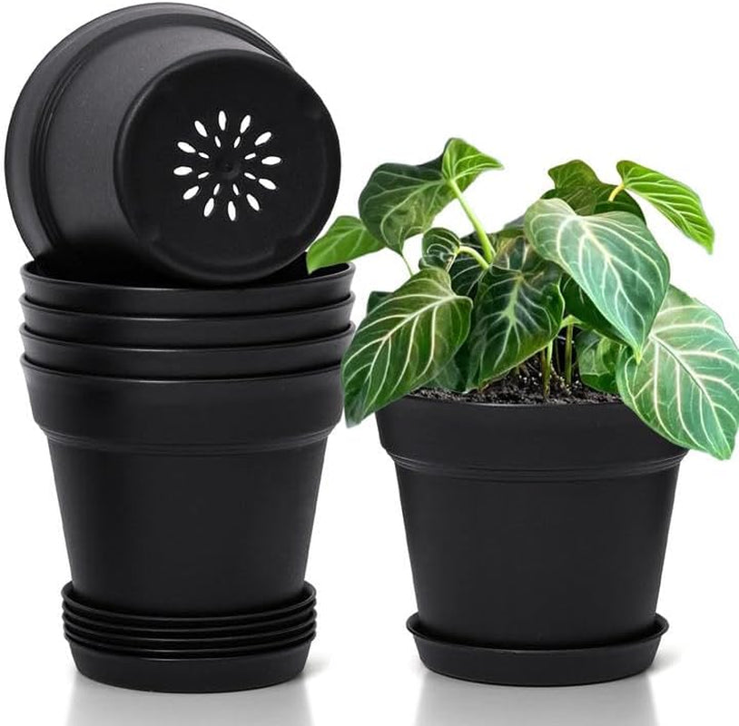 T4U Maceta de Plástico con Platillo de 16 cm, Juego de 6 Macetas de Plástico para Hierbas con Múltiples Orificios de Drenaje, Maceta Redonda para Plantas Suculentas de Interior y Balcón, Cactus, Blanco