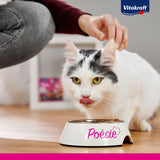 Vitakraft Poésie Délice, Selección de Pescado, Nassfutter Katze, Katzennassfutter en Salsa, mit Seelachs, mit Kabeljau, ohne Zusatz von Zucker und Getreide (1 paquete con 6 x 85 g)