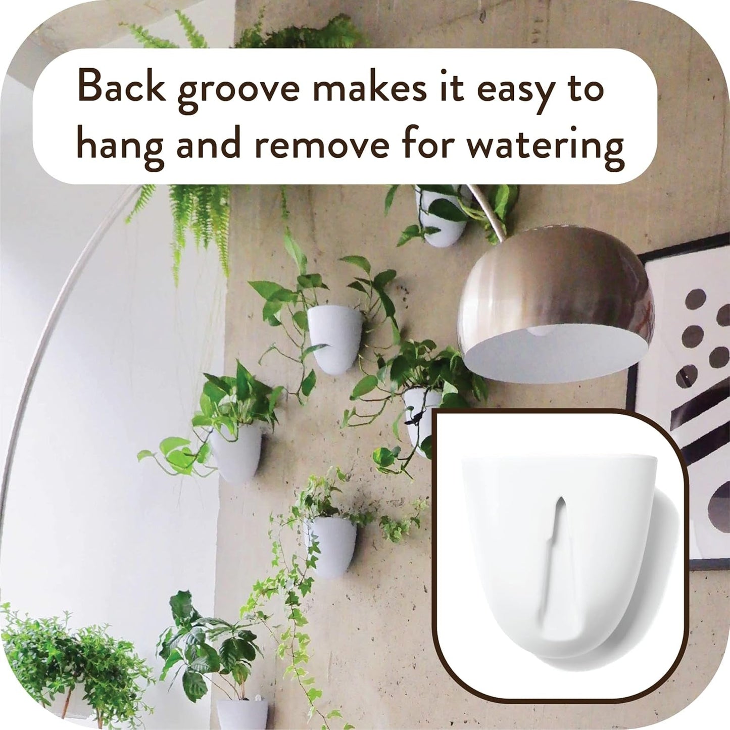 Macetas de pared con riego automático Virgo (juego de 6) - Fáciles de regar e instalar - Livianas - Crea tu propio jardín vertical - Macetas de pared para plantas de interior