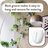 Macetas de pared con riego automático Virgo (juego de 6) - Fáciles de regar e instalar - Livianas - Crea tu propio jardín vertical - Macetas de pared para plantas de interior