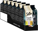 Sheba Portion Bolsas Comida húmeda para gatos, multipack Fresh & Fine en salsa con pollo y salmón MSC, 6x6x50g - Comidas finas para gatos en salsa