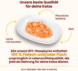 Almo Nature HFC Jelly - Comida húmeda para gatos adultos - Salmón y Zanahoria - Calidad humana, Sin gluten - 6 x 70g