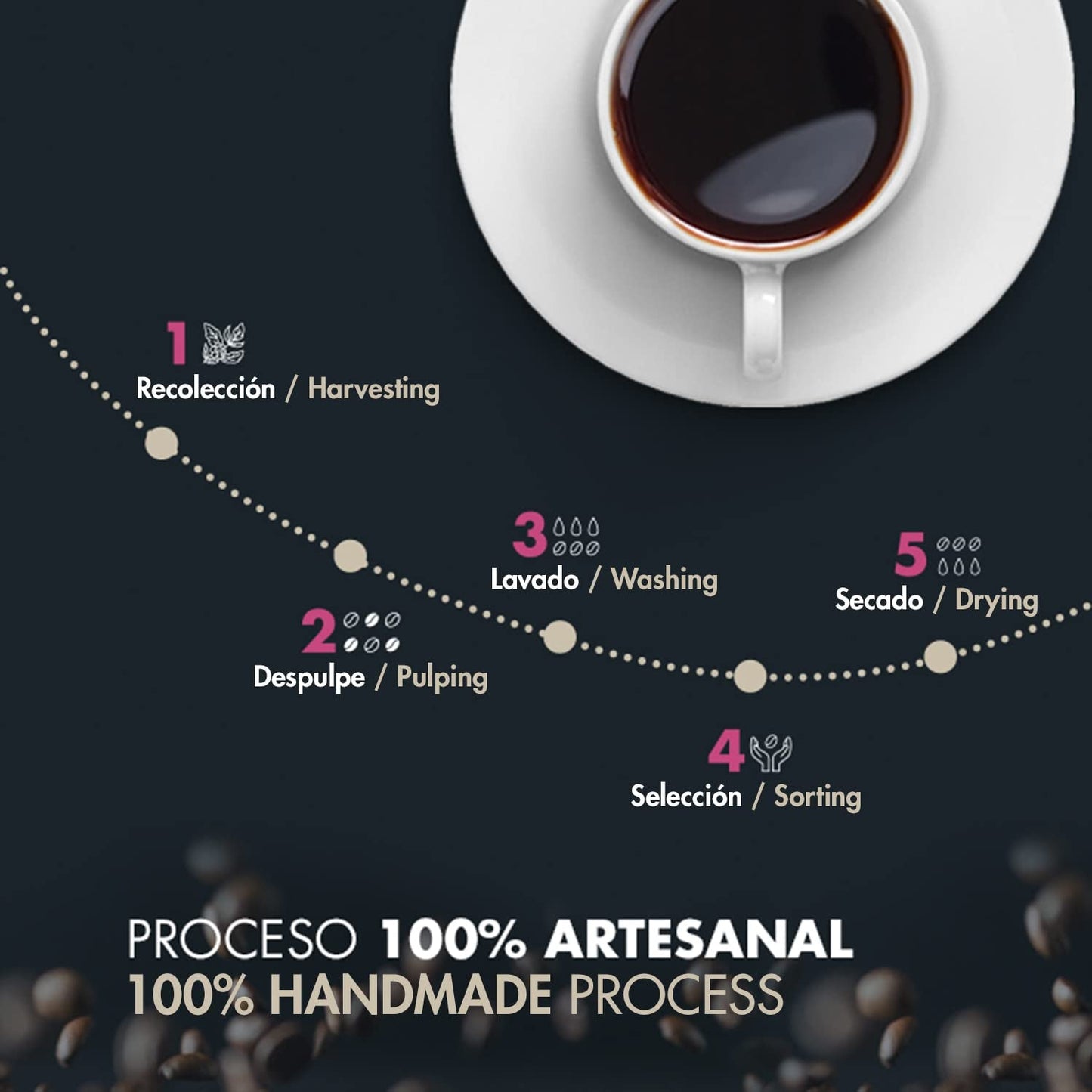 Granos de café arábica tostados | 500 g con toques de cacao y almendras | De un tostador de café tradicional | sabor delicado