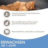 IAMS Delights Sea Collection Katzenfutter Nass - Multipack con pescado clasificado (Lachs, Thunfisch, Caballa, Seefisch) en salsa, Nassfutter para Katzen de 1 año, 12 x 85 g