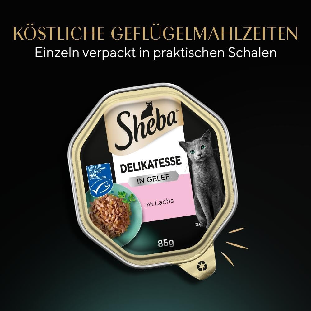 Sheba Comida húmeda para gatos, delicatessen en gelatina de salmón, 2 x 11 x 85 g