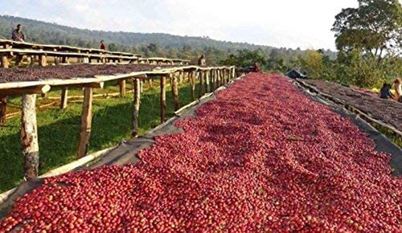 Café descafeinado en grano 1 kg natural 100% - Espresso Sabor intenso procedente de Colombia y Brasil.