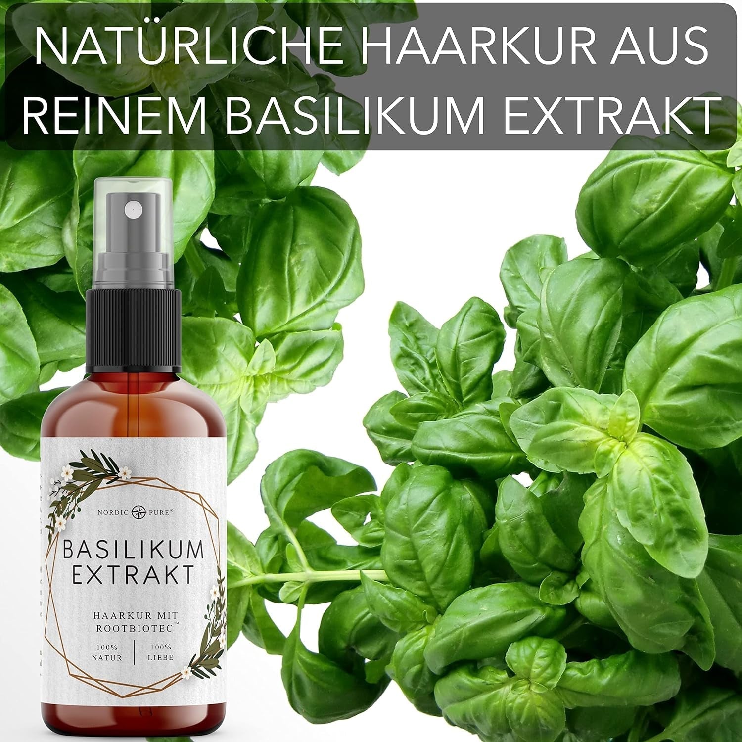 Tratamiento capilar con extracto de albahaca de Nordic Pure | Para el cuidado del cabello fino, seco y frágil | Puede prevenir la caída del cabello 100ml Naty Shop cuidado del cabello