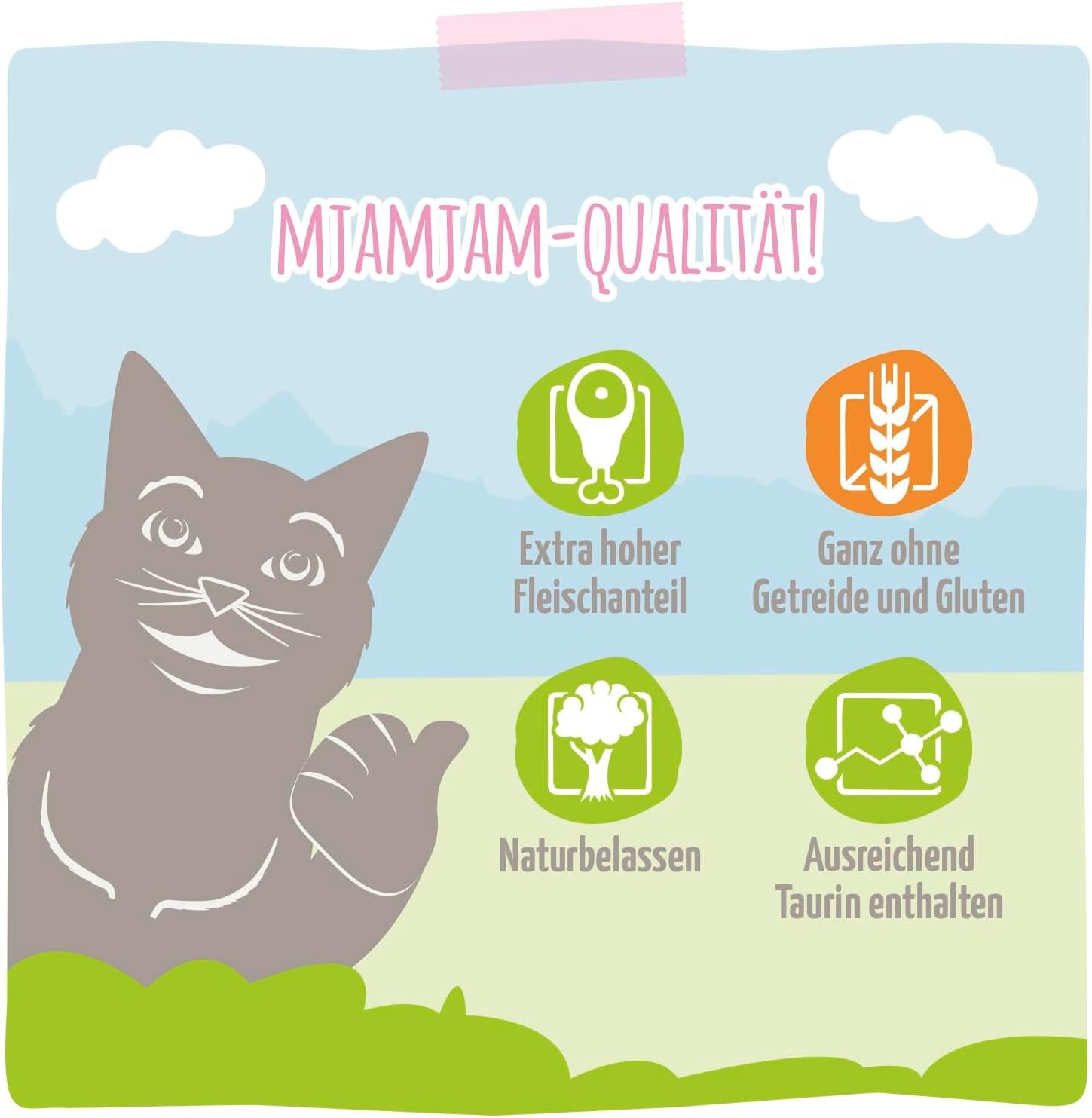 MjAMjAM - Comida húmeda premium para gatos - Pollo jugoso y salmón salvaje Paquete de 6 (6 x 400 g) Sin cereales con carne extra