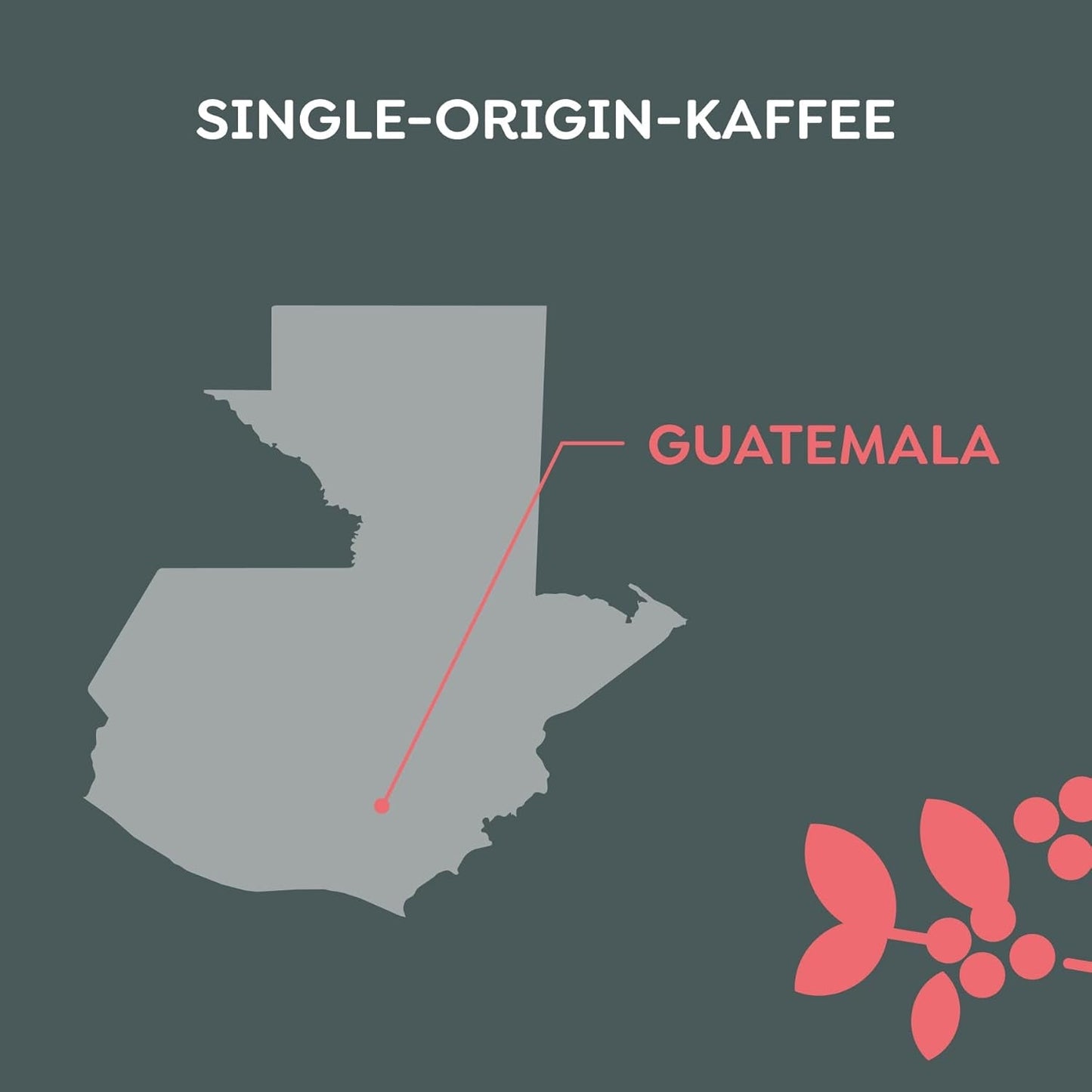 Melitta Manufaktur-Kaffee Miel de Guatemala, Spezialitäten, 250 g, Ganze Bohnen, Ungemahlen, Single-Origin, Sanfte Trommelröstung, Geröstet in Deutschland, Stärke 3