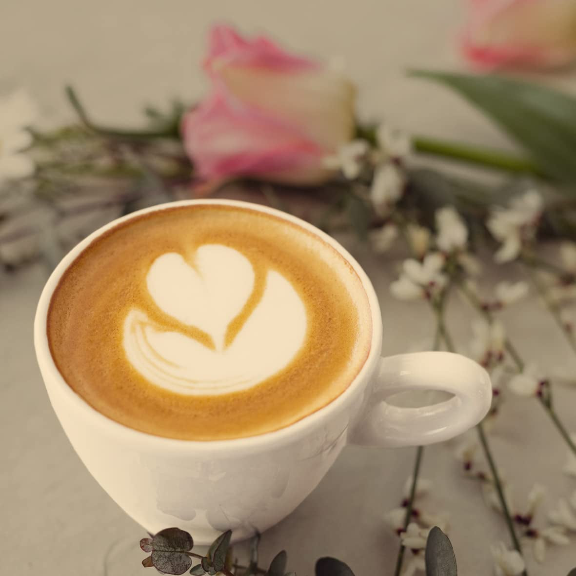 - Moca 1000g | Café fuerte para Schümli y espresso en máquinas totalmente automáticas | Granos de café tostados enteros | Con 90% de granos de Arábica