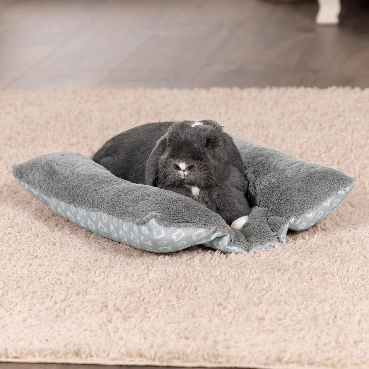 Camas, mantas y muebles, mascotas, gatos, camas para gatos, Gatos - camas, colchones