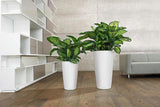 Jardinera LECHUZA Rondo Premium 32 Blanco Mate | Columna para plantas con sistema de riego, indicador de nivel de agua y inserto para plantas | Acabado mate | Ø 32,5 x 56,5 cm | 15786