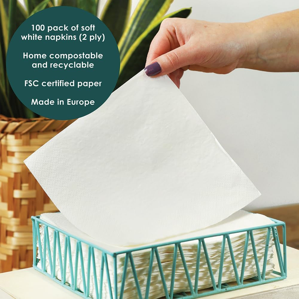 Table Kind 100 Servilletas Suaves Blancas a Granel, Servilletas de Alta Calidad para Fiesta, Catering y Uso Diario, FSC, Sostenibles y Reciclables, Fabricadas en la UE | 2 capas | 33cm
