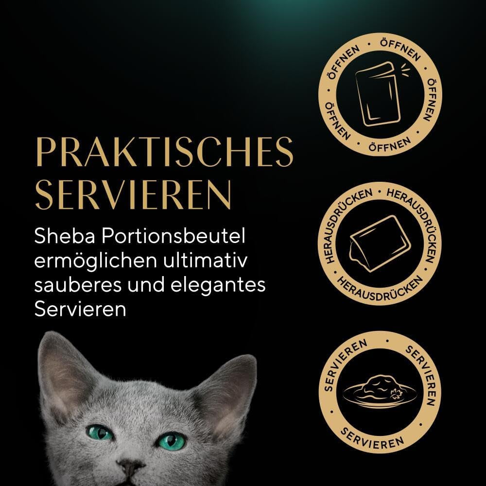 Sheba comida húmeda para gatitos, en sobres surtidos, con salmón (MSC) y pollo en salsa, multipack 40x85g
