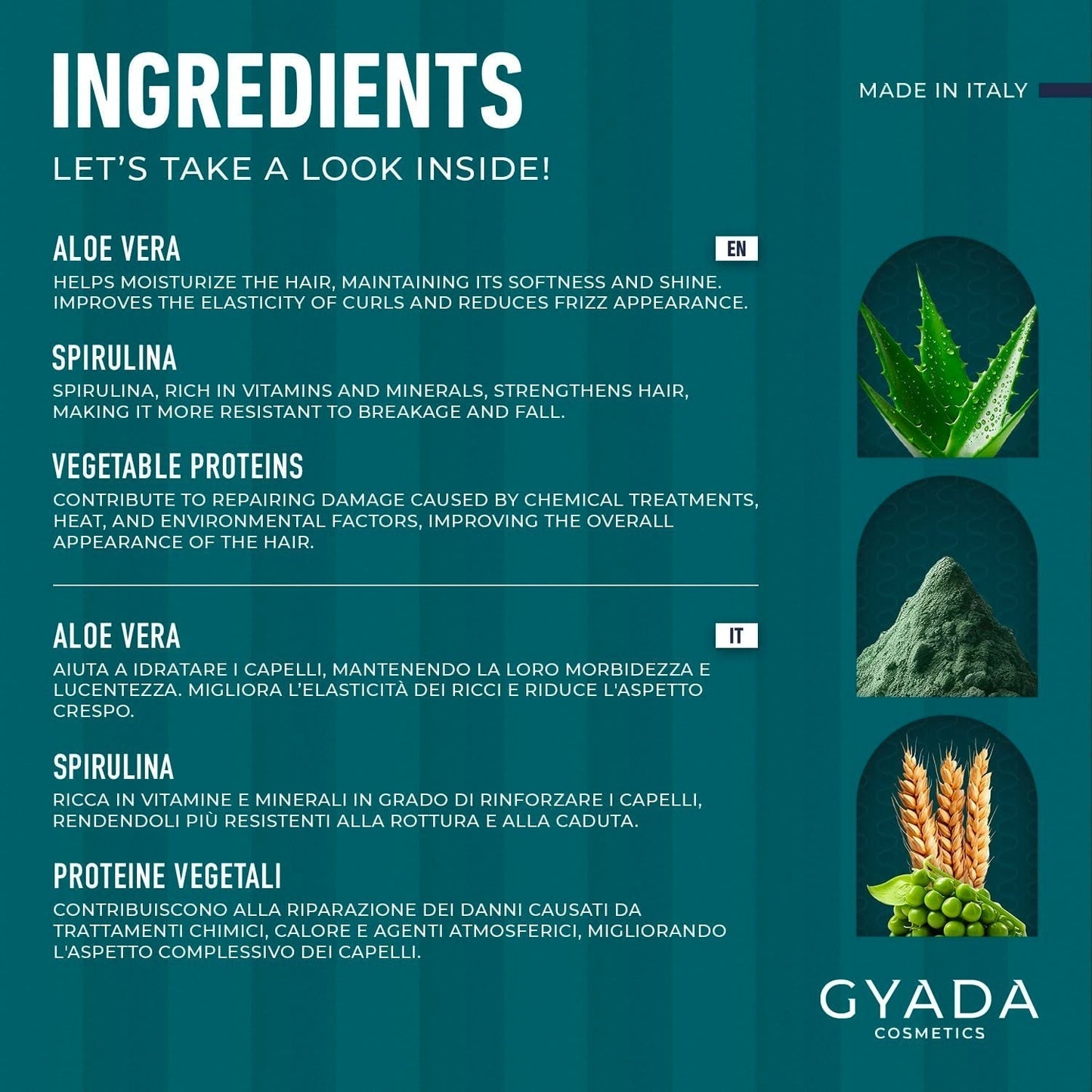 GYADA COSMETICS Pack Fortalecedor Capilar Espirulina Nutritivo Anticaída Puntas Dobles Funciona 250ml + Peine de Madera de Haya Ideal para Desenredar Todo Tipo de Cabello Mascarilla Capilar Naty Shop
